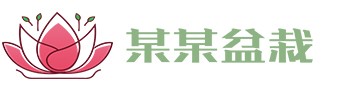 开云手机在线登录(中国)官方网站